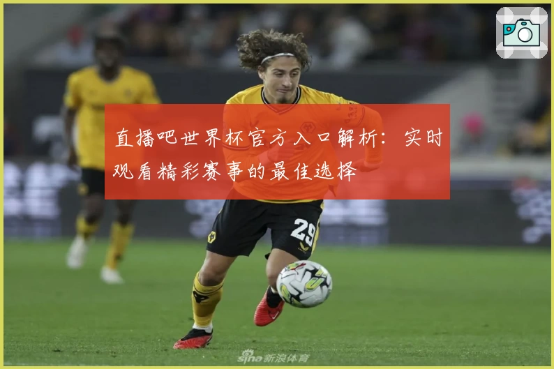 直播吧世界杯官方入口解析：实时观看精彩赛事的最佳选择
